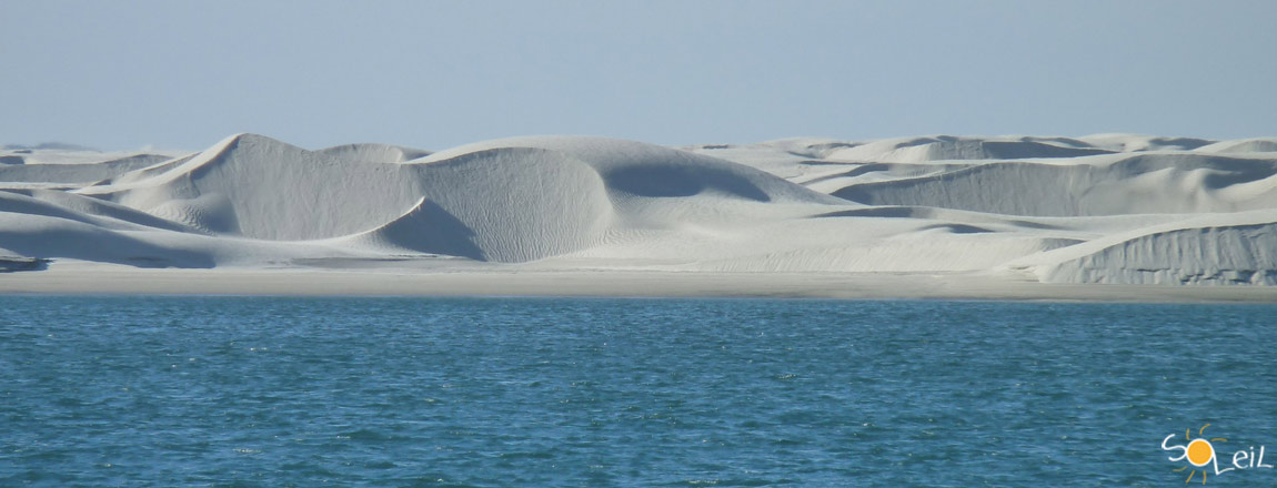 crociere in baja california messico